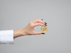 上海新闻动态咨询