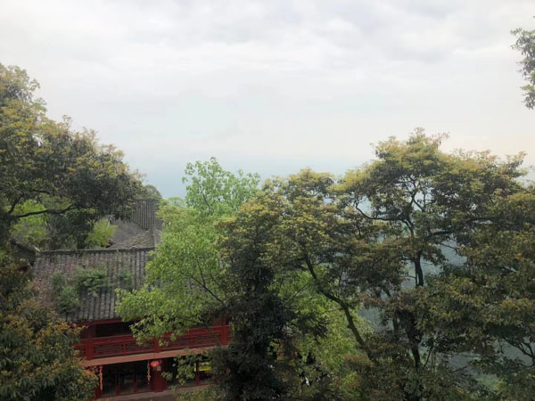 上海要请律师为您讲解确定医疗损害赔偿数额需要考虑哪些问题