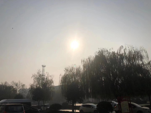 网络借贷案件中的原被告该如何认定？上海债务纠纷律师来回答