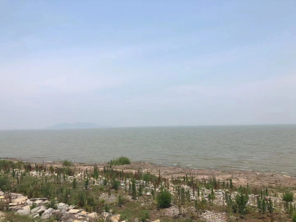 合同诈骗知多少？上海经济犯罪律师为您讲解