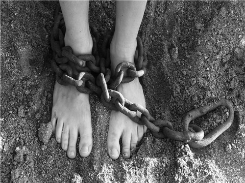 家属在监狱里遭遇刑讯逼供应该找上海闵行好律师