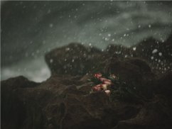 上海法律专题咨询